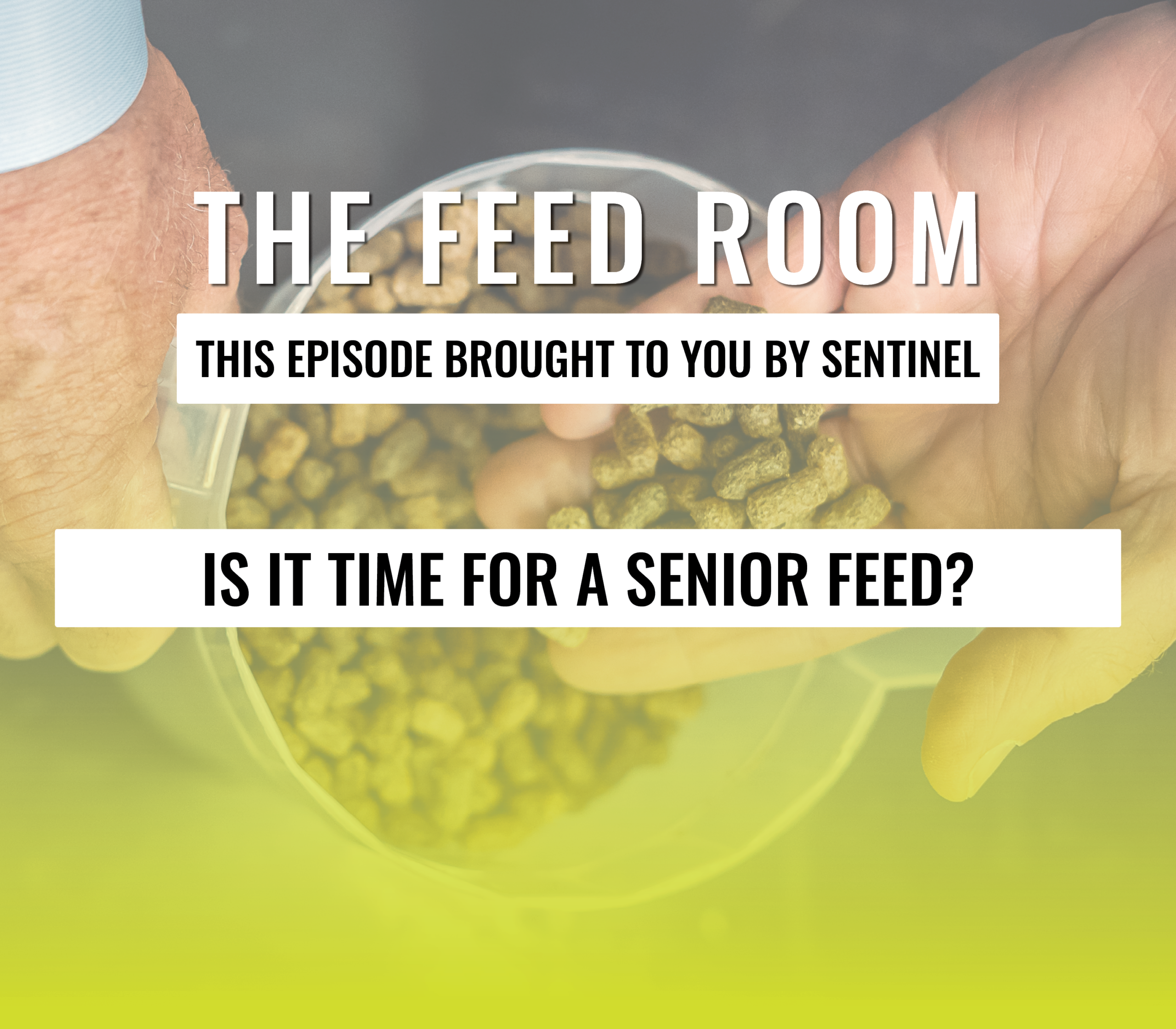 FeedRoom_SeniorFeedEpisodeCover (1)
