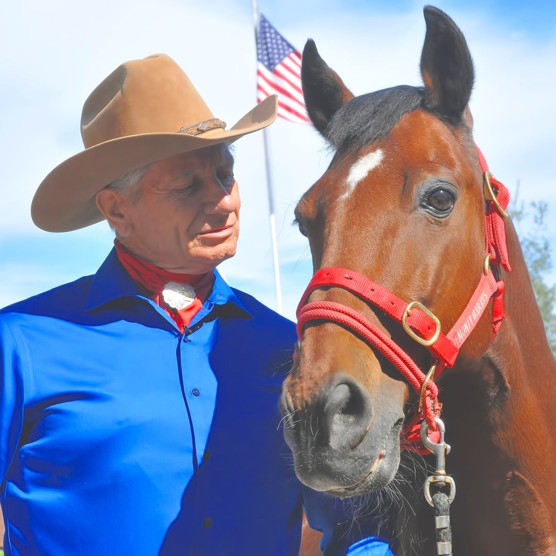 Cowboy-hatted Monty Roberts in blue short holds and looks at bay horse with star and red halter