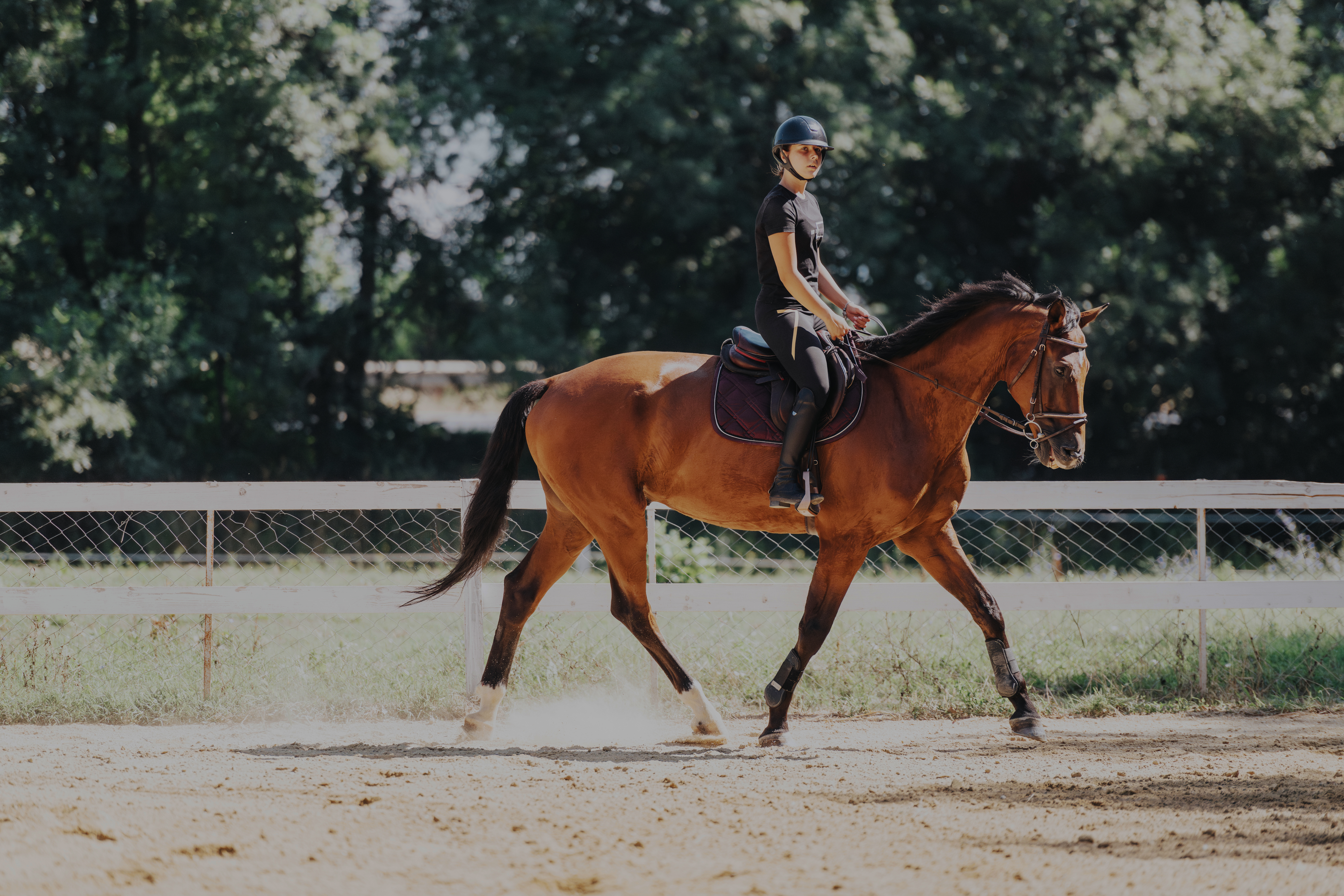 Woman riding a horse during equestrian training in sunny arena