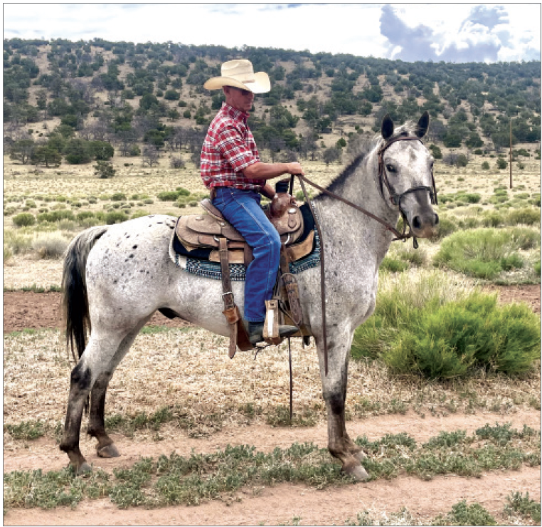 Appaloosa horse with a rider in Western attire and Western tack