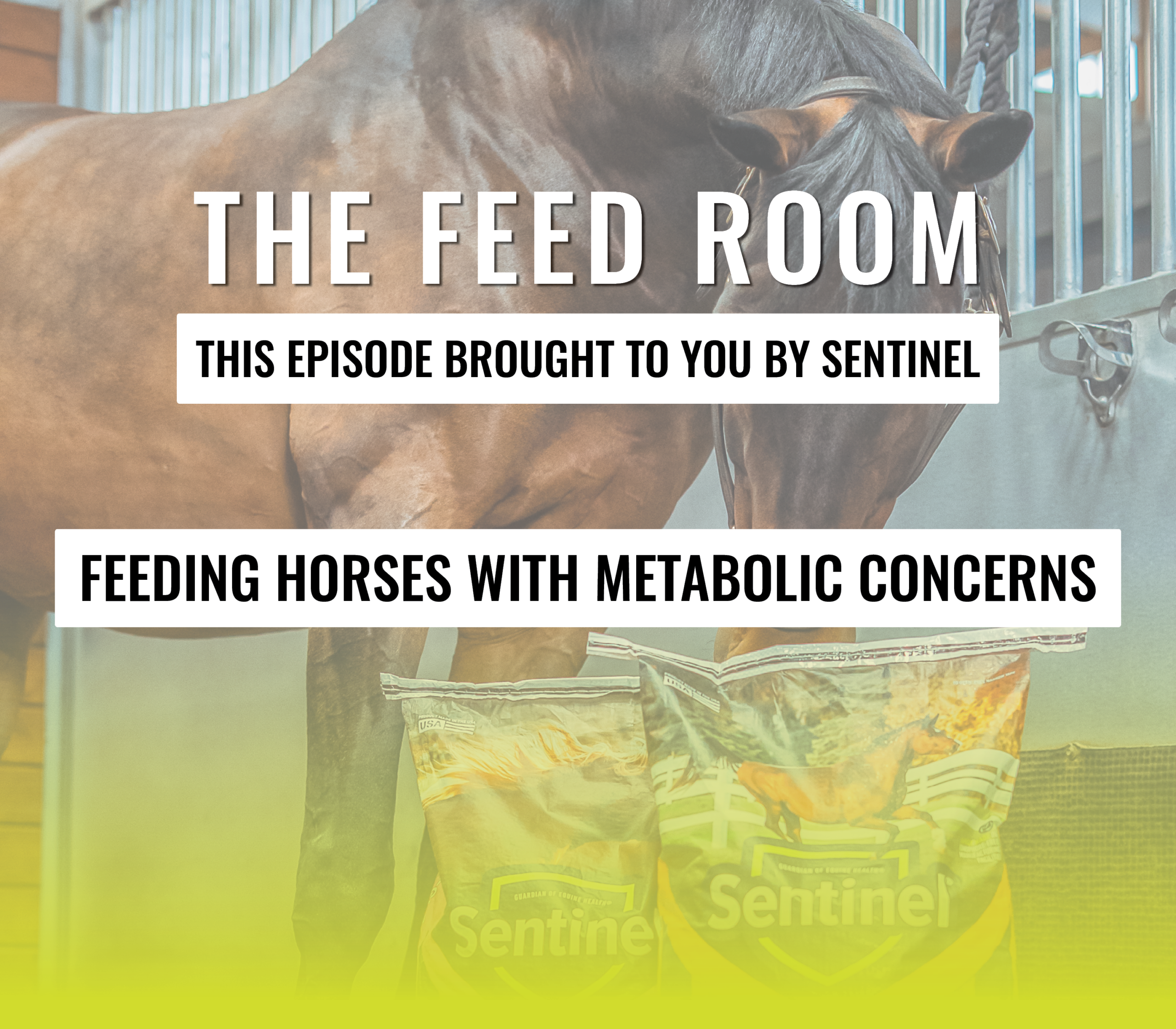 FeedRoom_MetabolicEpisode_Cover