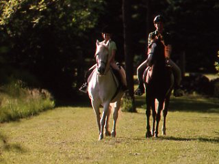 Trail Terrors, Part 3: Eye Injury promo image