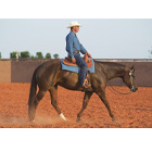 Wanted: Light-footed Loper promo image