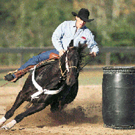 Barrel Racing: Perfecting the Money Turn promo image