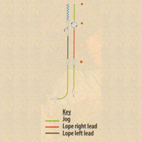 Horsemanship Help with Al Dunning promo image