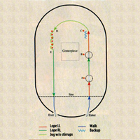 National-Level Western Horsemanship promo image