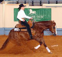 Tami Nelson Offers Reining Show-prep Advice promo image