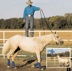 Mount Your Horse From a Fence promo image