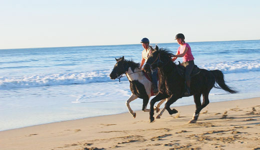 asset_upload_file59_6163