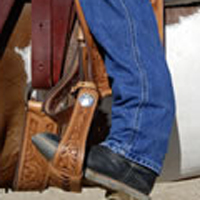 Heels-Down Tips from Karen Banister promo image