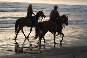 Photo courtesy of Cindy Flood, Flood Farm