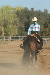 Strengthen Your Legs, Balance Your Horse promo image