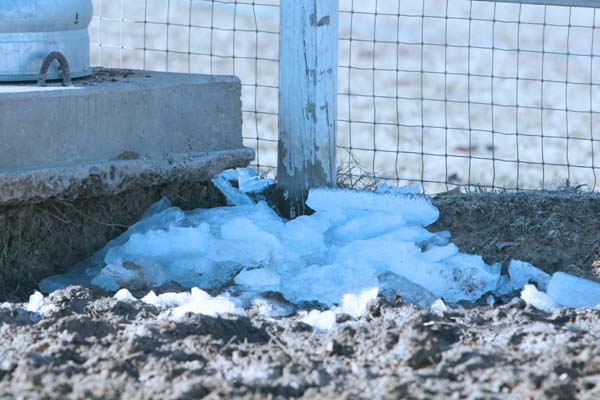 Thank you! Thank you..