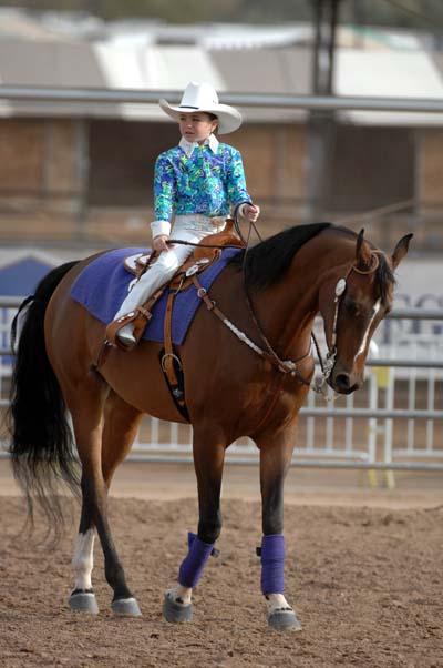 Calling All ARABIAN LOVERS!!! promo image