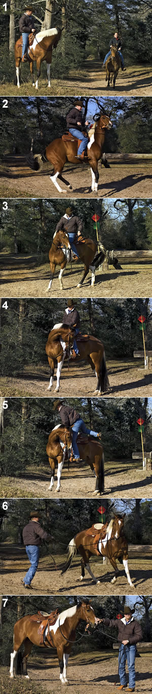 Photos by Kevin McGowan