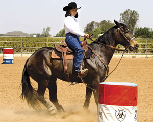 Training Tips for a Better Barrel Racing Foundation promo image