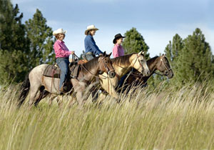 Avoid 7 Types of Trail Riding Problems promo image