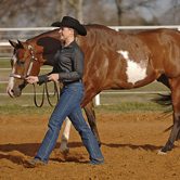 Showmanship Polish: Hand Position and Control Introduction promo image