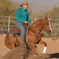 How to Evaluate a Horse's Reining Potential promo image