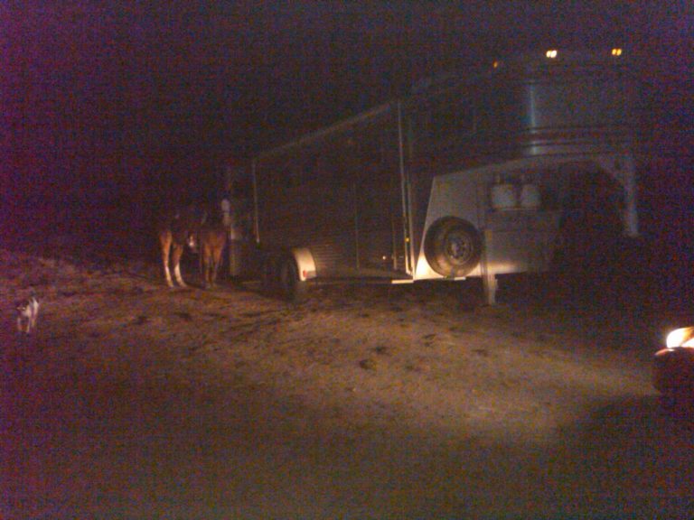 Who Turned Out the Lights? promo image