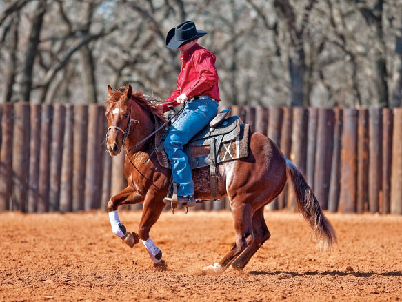 Clinton Anderson: Don't Get Emotional When Training Horses promo image