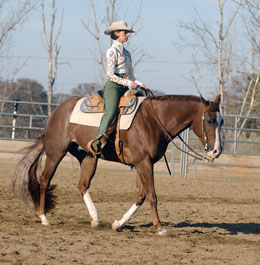 H&R Gold: Horsemanship Training promo image