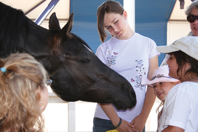 Of Kids and Horses promo image