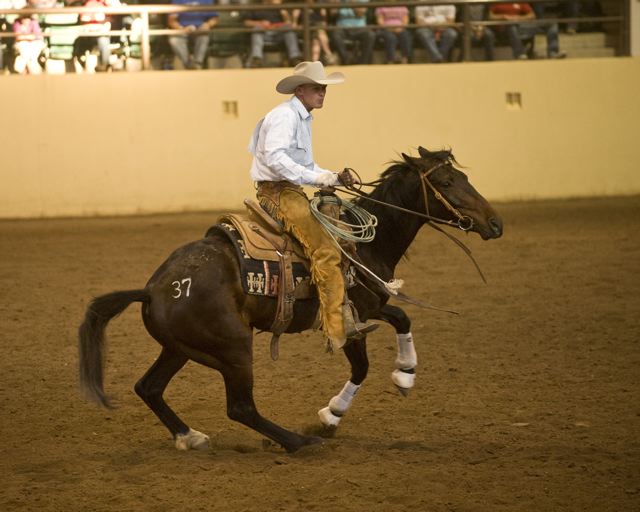 Tate and Boggle promo image