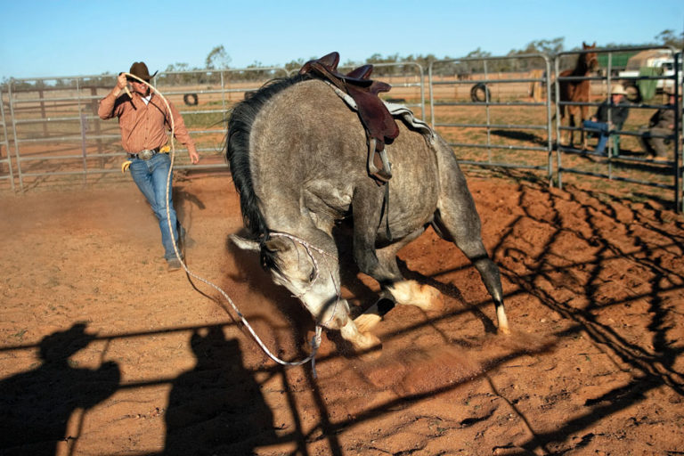 Calling All Problem Horses promo image