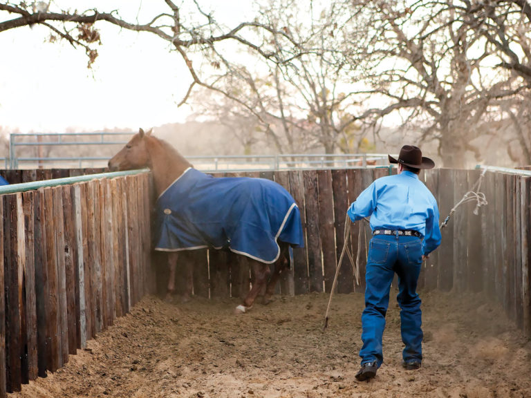 Clinton Anderson: Build Good Habits promo image