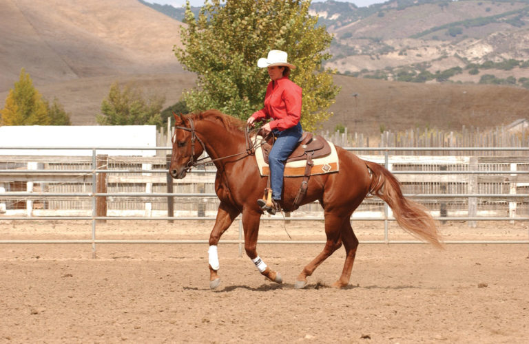Sandy Collier: Giving The Face promo image