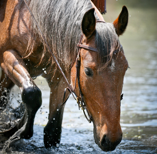 We'd Love to Own: Lindsay's Faith promo image