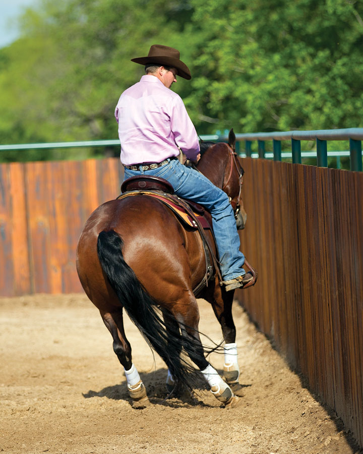 Horse Training: Rollback on the Fence promo image