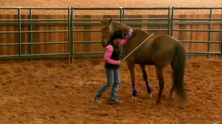 Does your horse have bucking problems? promo image
