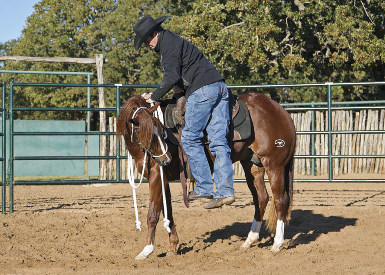 Mounting a Colt for the First Time promo image