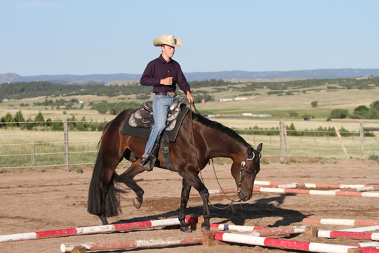 Advanced Turnaround Box promo image