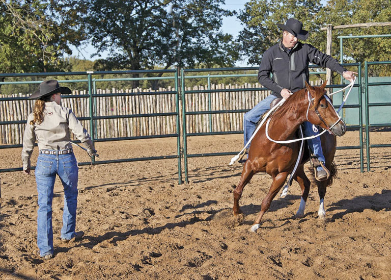 Moving Both Ends of a Colt promo image