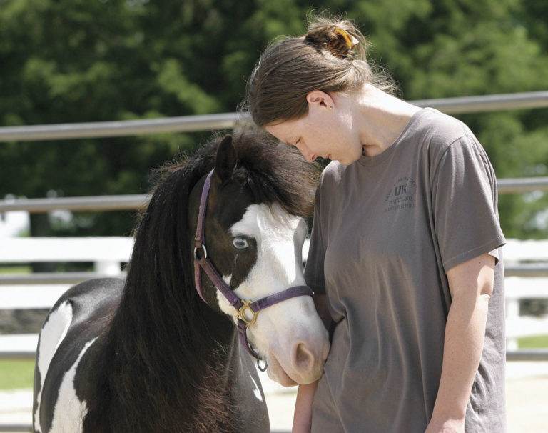 Horses Aid Nurses' Empathy promo image