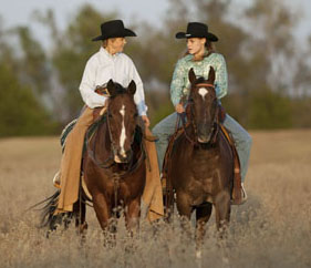 Gallop Poll Riding Fun