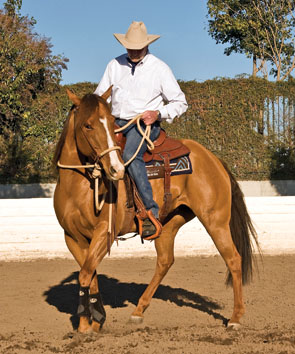 Get Hip Control promo image