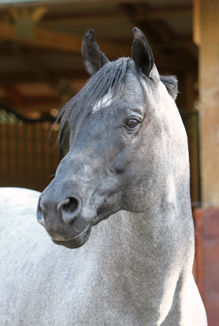 LTO: My Final Notice promo image