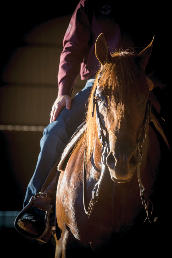 The Chic Master promo image