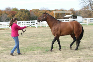 H&R photo by Alana Harrison