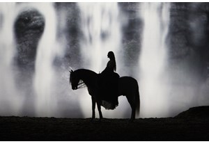 Perk of the Job: A Preview of Cavalia "Odysseo" promo image