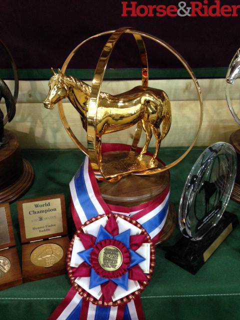 How To Watch the World Show promo image