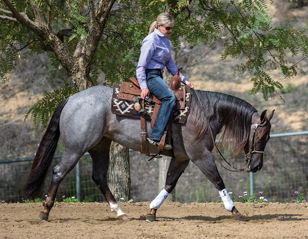 HR-150100-AVILA-01_gn