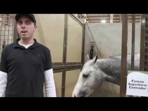 Blake Weis and Snap Krackle Pop at the 2014 AQHA World Show promo image
