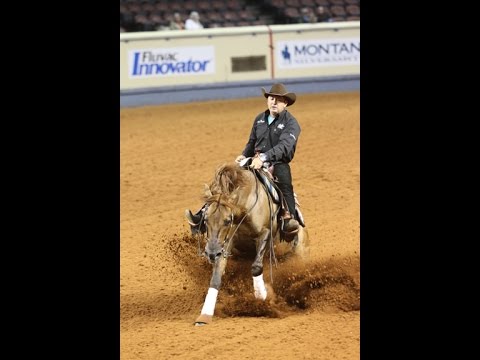 Andrea Fappani at the 2014 AQHA World Show promo image