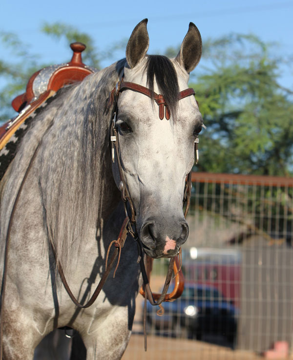 Love to Own: All Maxed Out RA promo image