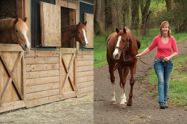 HR-150200-REHAB-01-02